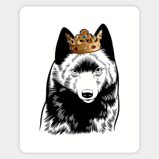 Schipperke Dog King Queen Wearing Crown Sticker